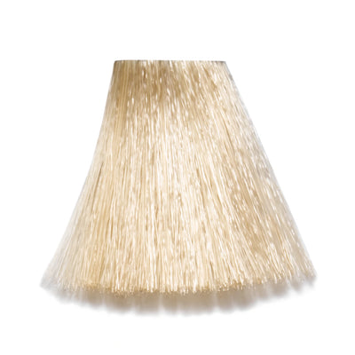 12/1 - 12-A Super Blond Asch