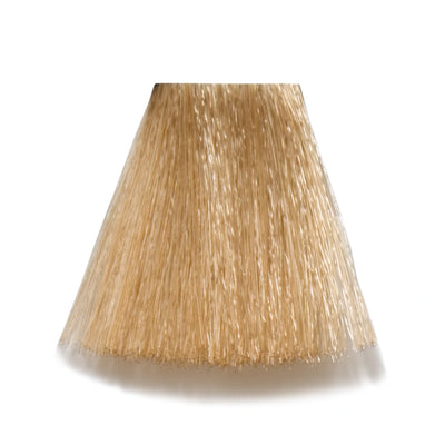 12/7 - 12-B Superblond Beige