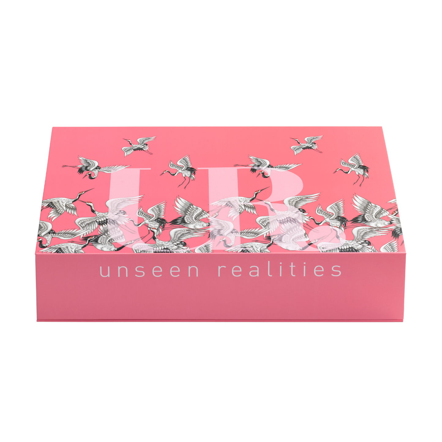 UR AeroBlast - Folding Blow Dryer