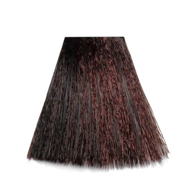 4/6 - 4-V Plum