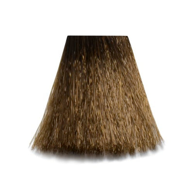 6/00 - 6NN Dark Blond Intensive