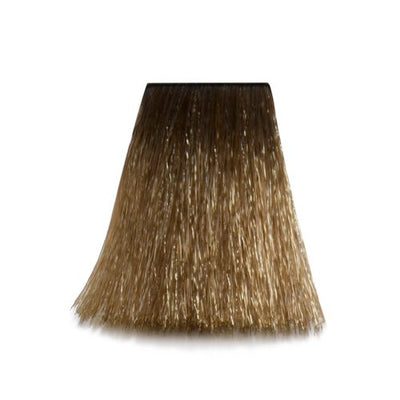 6/0 - 6-N Dark Blond