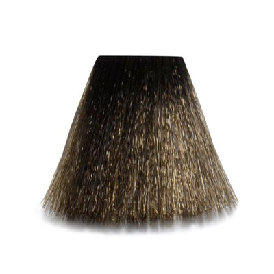 6/1 - 6-A Dark Blond Ash