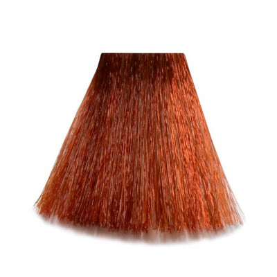 6/4 - 6-K Dark Blond Copper