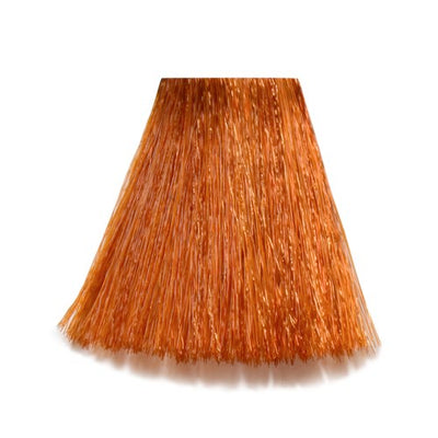 8/4 - 8-K Light Blond Copper