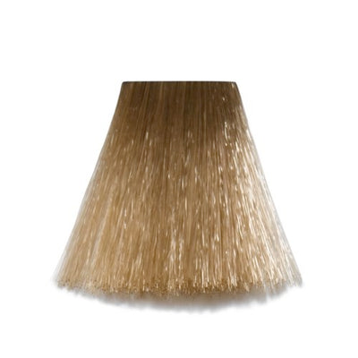 9/17 - 9-AB Very Lightblond Ash Brown