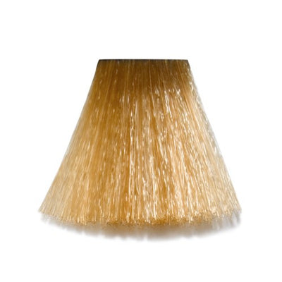 9/3 - 9-G Very Light Blond Gold