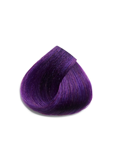 Violet V-V